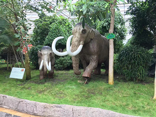 案例展示