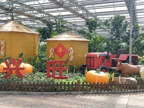 案例展示