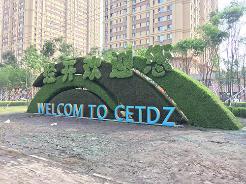 案例展示